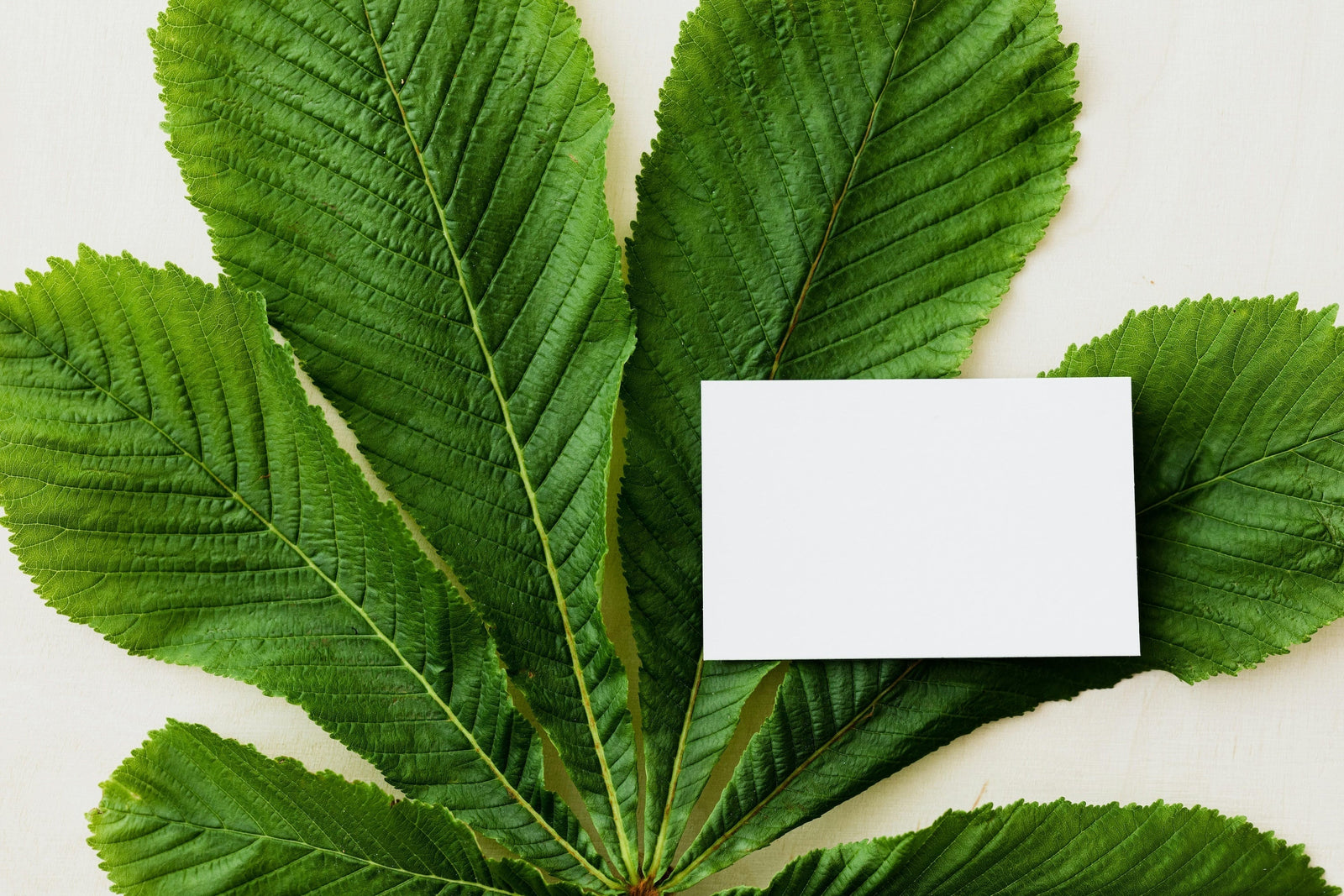 The Truth About Marketing Label Claims: What Brands Need to Know